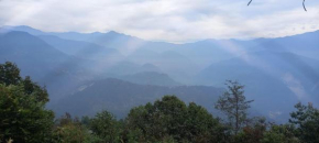 Moktan